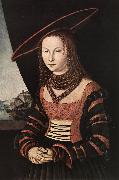 CRANACH, Lucas the Elder Portrait of a Woman dfg Sweden oil painting artist
